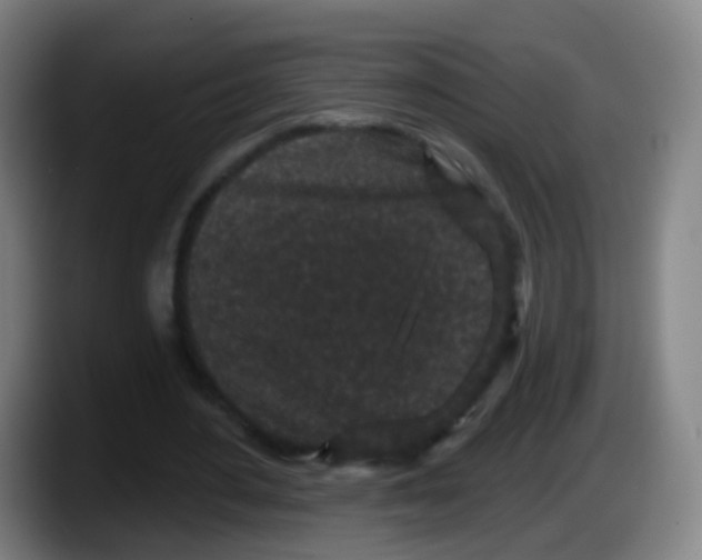 X0000087610484200705251945