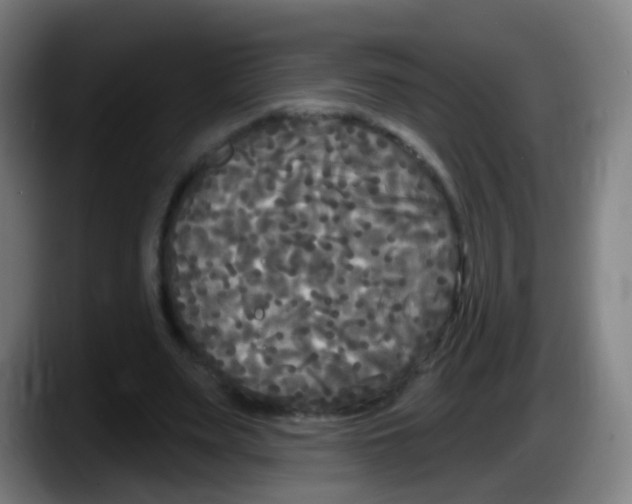 X0000087610487200705251945