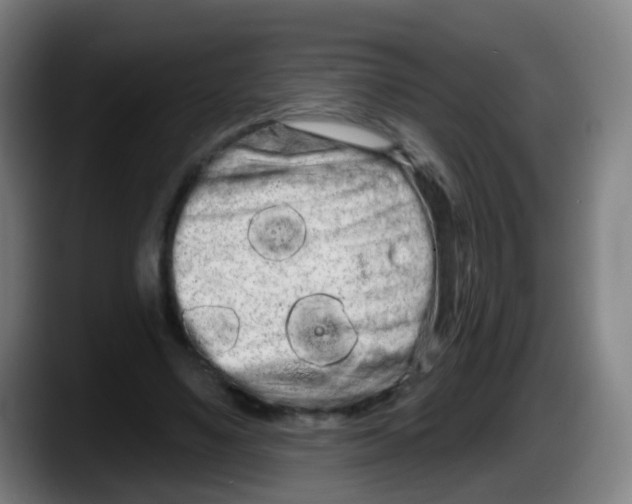 X0000087610491200705251945