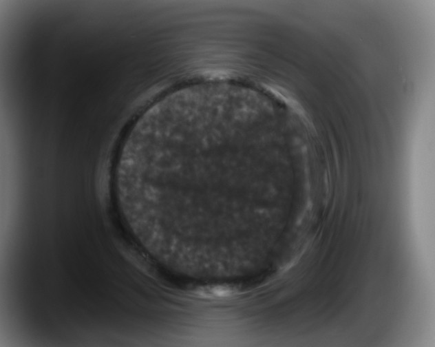 X0000087610492200705251945