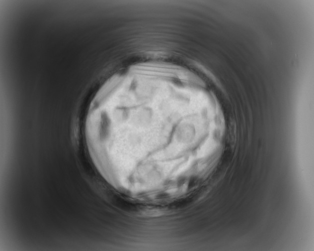 X0000087610494200705251945