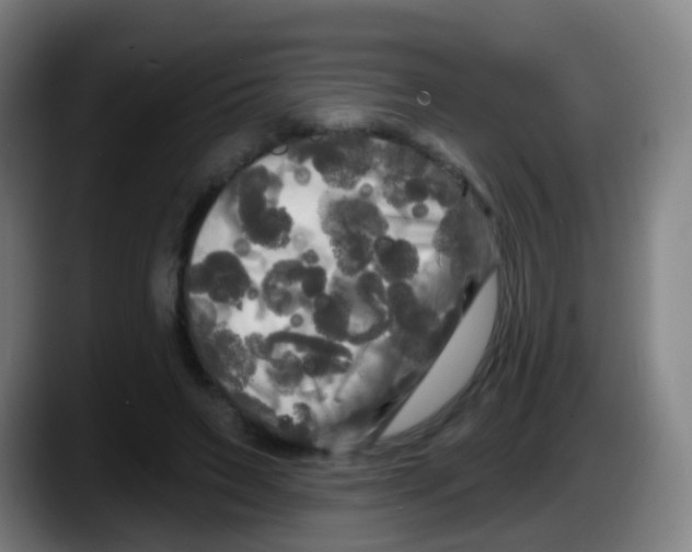 X0000087610495200705251945