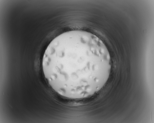 X0000087610498200705251945