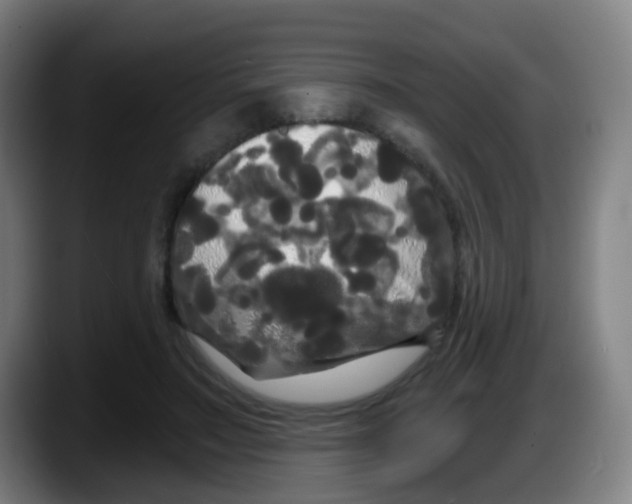 X0000087610499200705251945