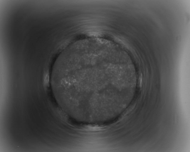 X0000087610502200705251945