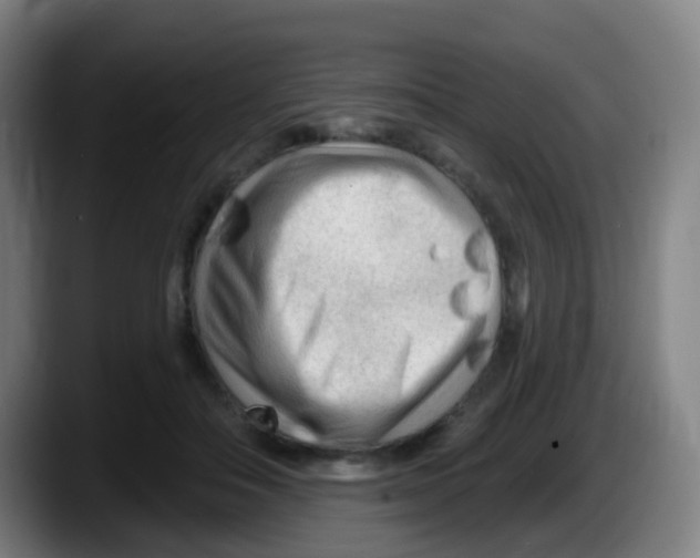 X0000087610506200705251945