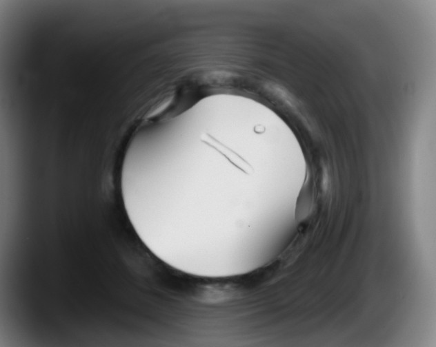 X0000087610508200705251945