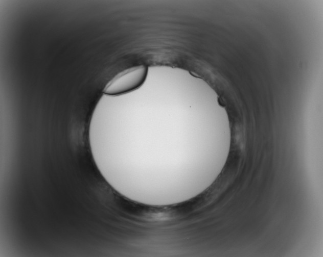 X0000087610514200705251945