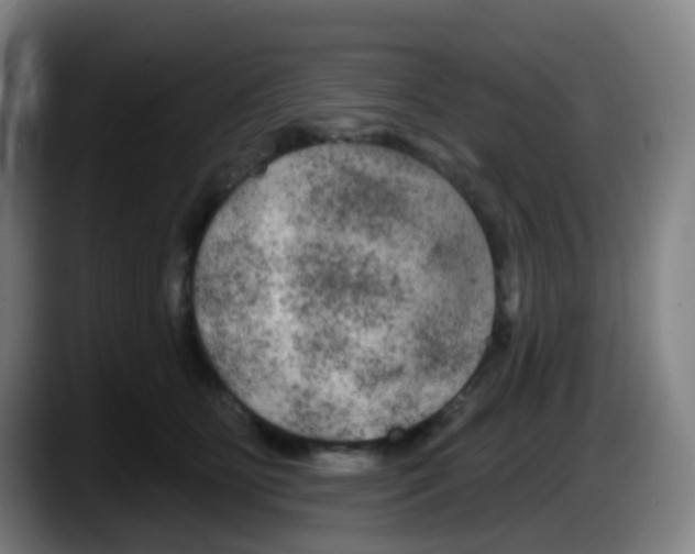 X0000087610515200705251945