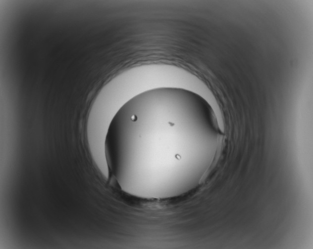 X0000087610516200705251945