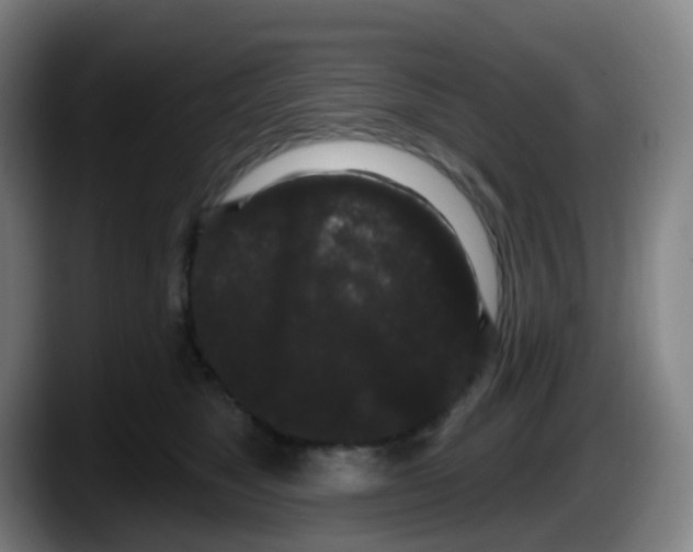 X0000087610517200705251945