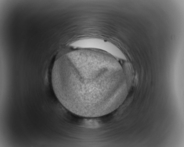 X0000087610520200705251945