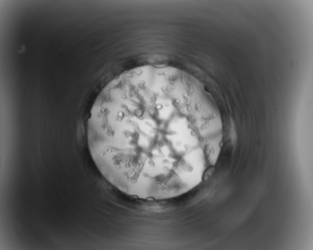 X0000087610523200705251945