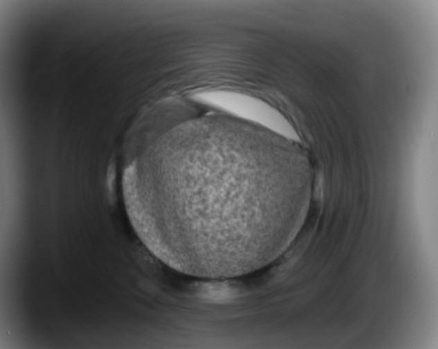 X0000087610524200705251945