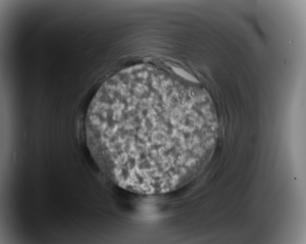 X0000087610527200705251945