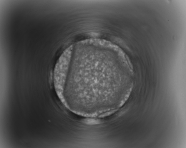 X0000087610528200705251945