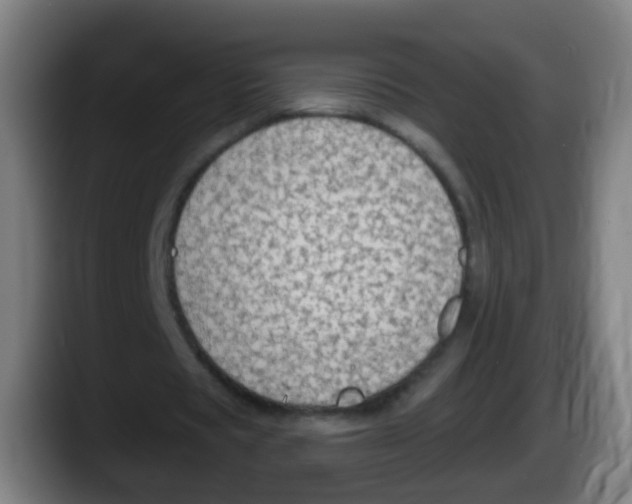 X0000087610529200705251944