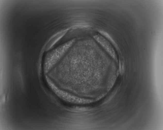 X0000087610531200705251944