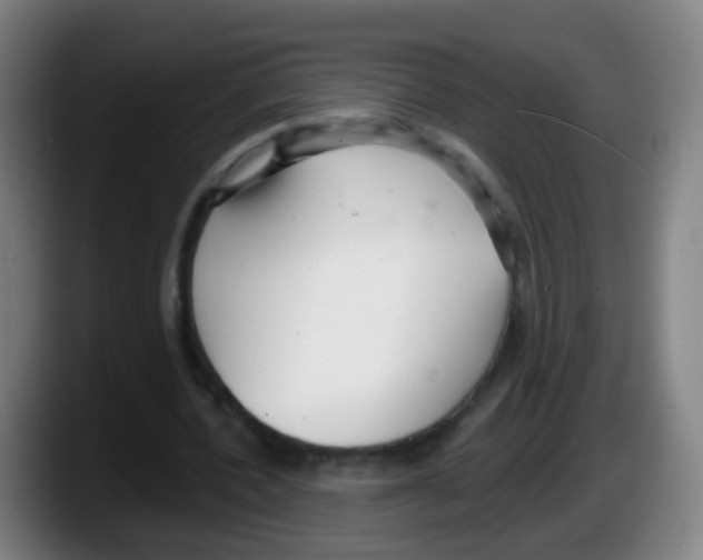 X0000087610532200705251944