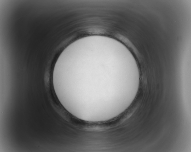 X0000087610533200705251944