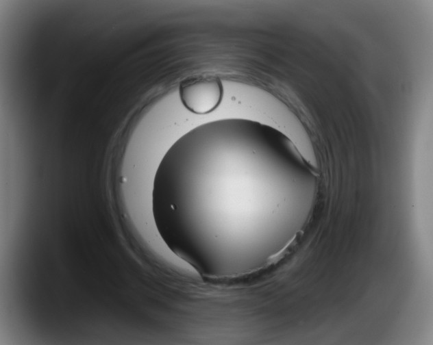 X0000087610534200705251944