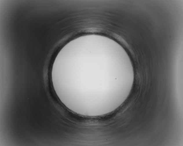 X0000087610535200705251944