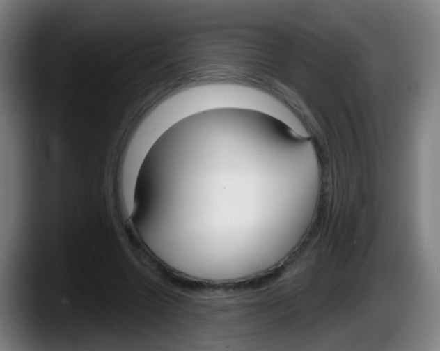 X0000087610538200705251944