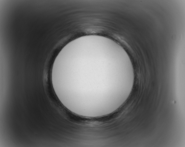 X0000087610539200705251944