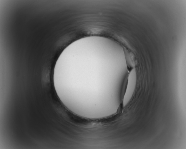 X0000087610543200705251944