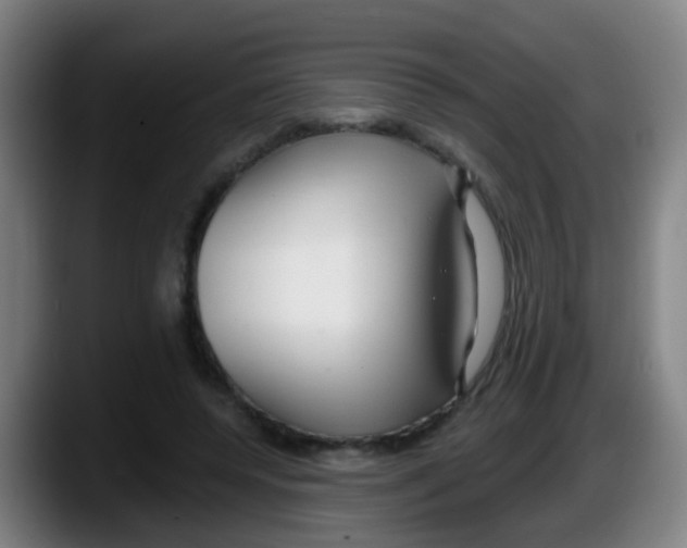 X0000087610544200705251944