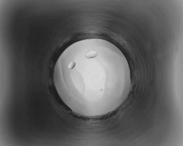 X0000087610546200705251944