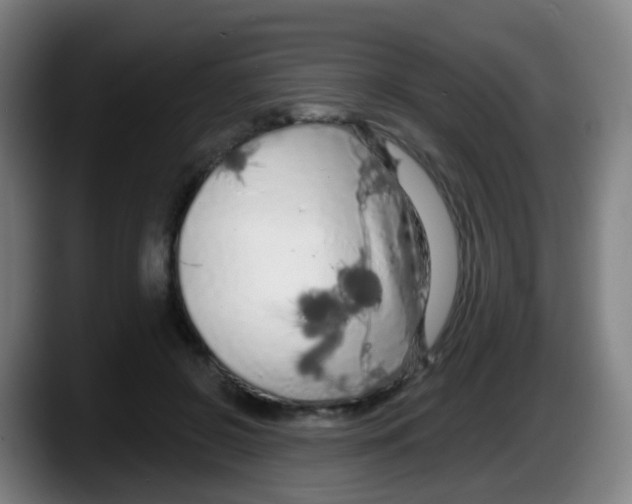 X0000087610550200705251944