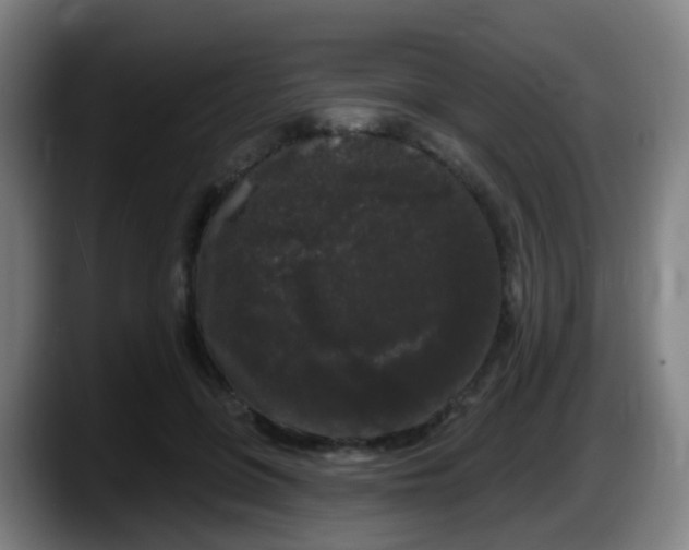 X0000087610551200705251944