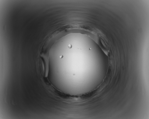 X0000087610552200705251944