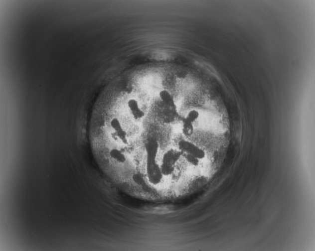 X0000087610553200705251944