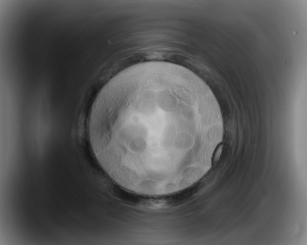 X0000087610554200705251944