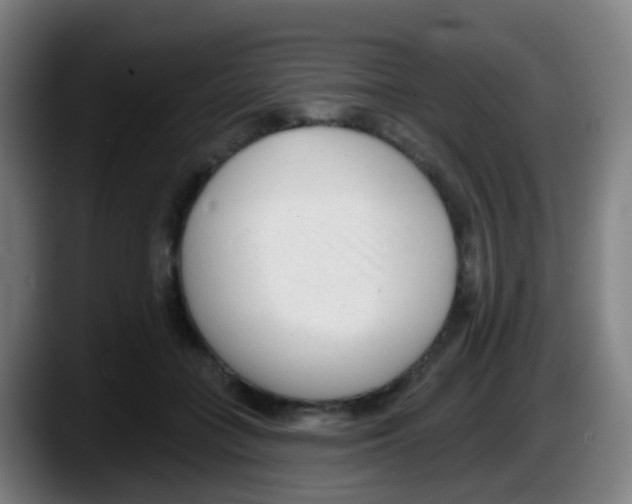 X0000087610555200705251944