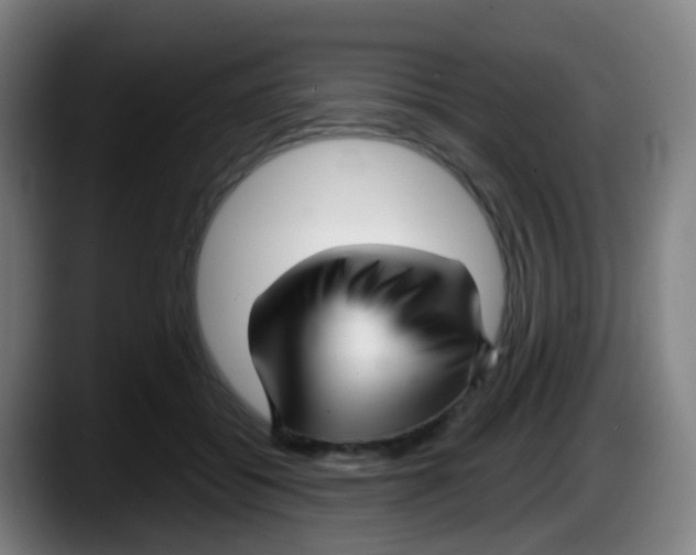 X0000087610556200705251944