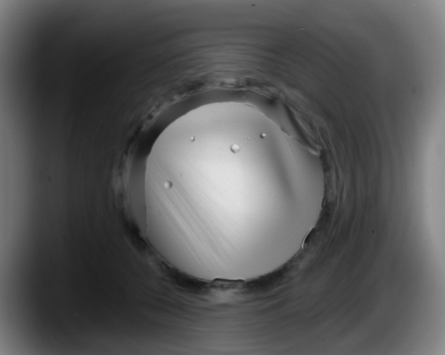 X0000087610560200705251944