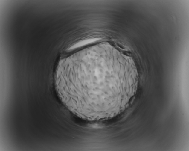 X0000087610561200705251944