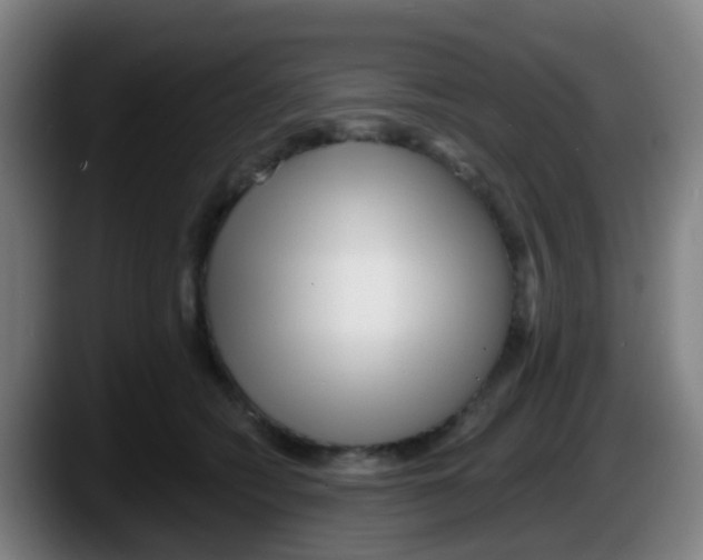 X0000087610562200705251944