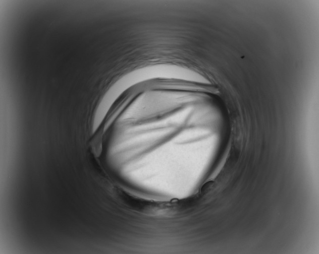 X0000087610563200705251944