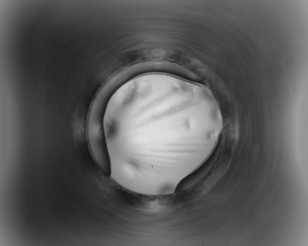 X0000087610564200705251944