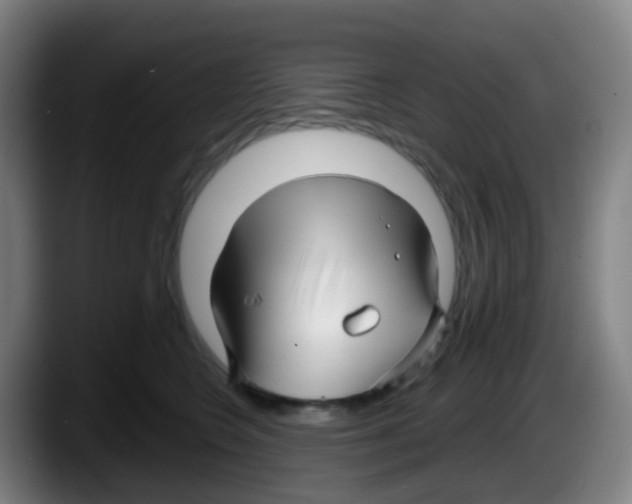 X0000087610566200705251945