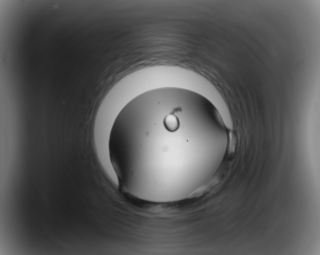 X0000087610568200705251945