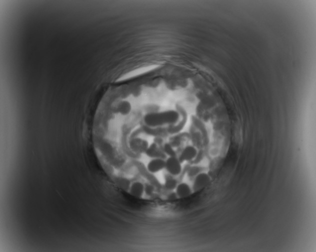 X0000087610569200705251945