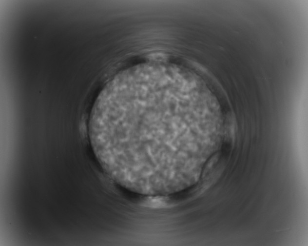 X0000087610573200705251945