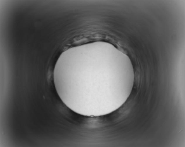 X0000087610574200705251945