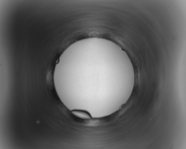 X0000087610575200705251945