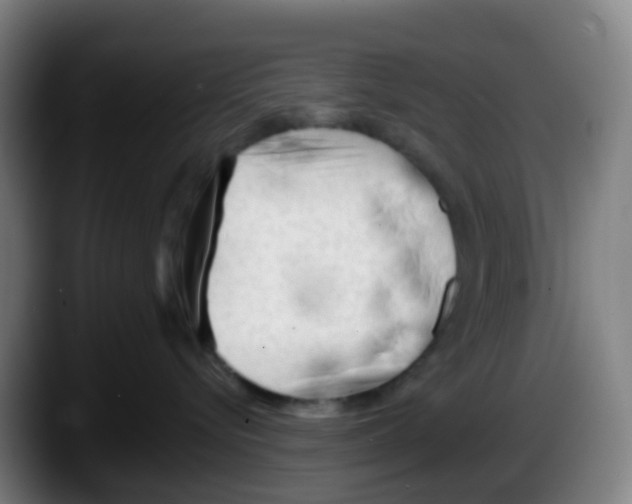 X0000087610576200705251945